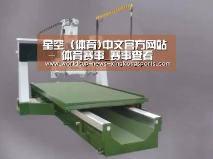 产品名称九