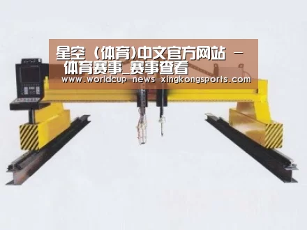 产品名称十九