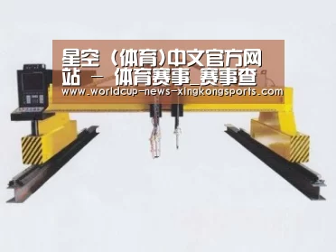 产品名称十七