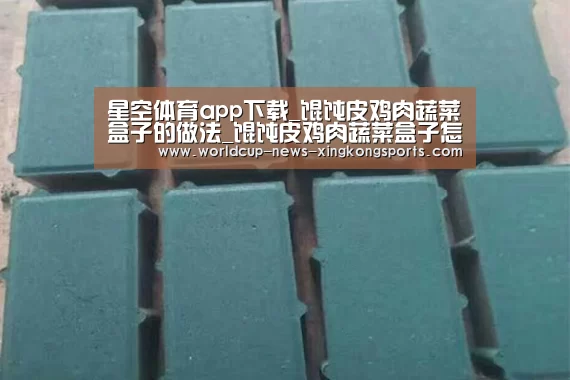 星空体育app下载_馄饨皮鸡肉蔬菜盒子的做法_馄饨皮鸡肉蔬菜盒子怎么做_一日五餐
