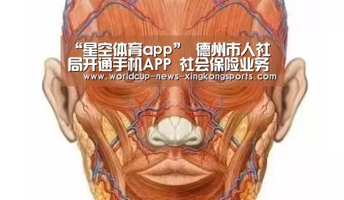“星空体育app”
德州市人社局开通手机APP 社会保险业务“掌上办”
