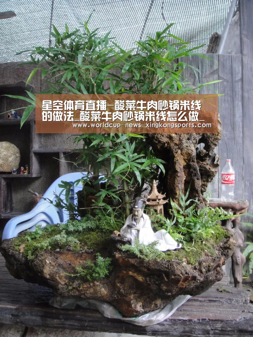 星空体育直播-酸菜牛肉砂锅米线的做法_酸菜牛肉砂锅米线怎么做_悦悦玉食的菜谱(图4) 星空体育直播