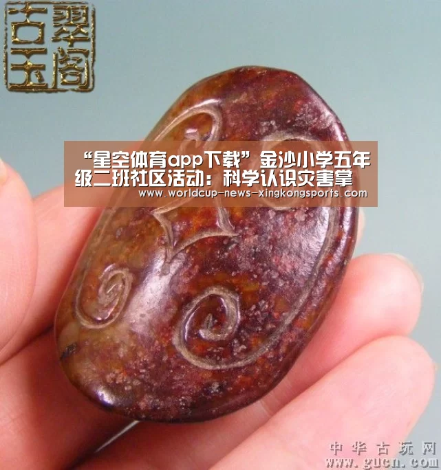 “星空体育app下载”金沙小学五年级二班社区活动：科学认识灾害掌握自救技能