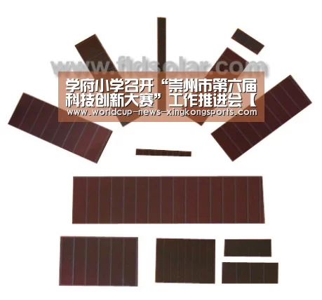 学府小学召开“崇州市第六届科技创新大赛”工作推进会【星空体育直播】(图3) 星空体育
